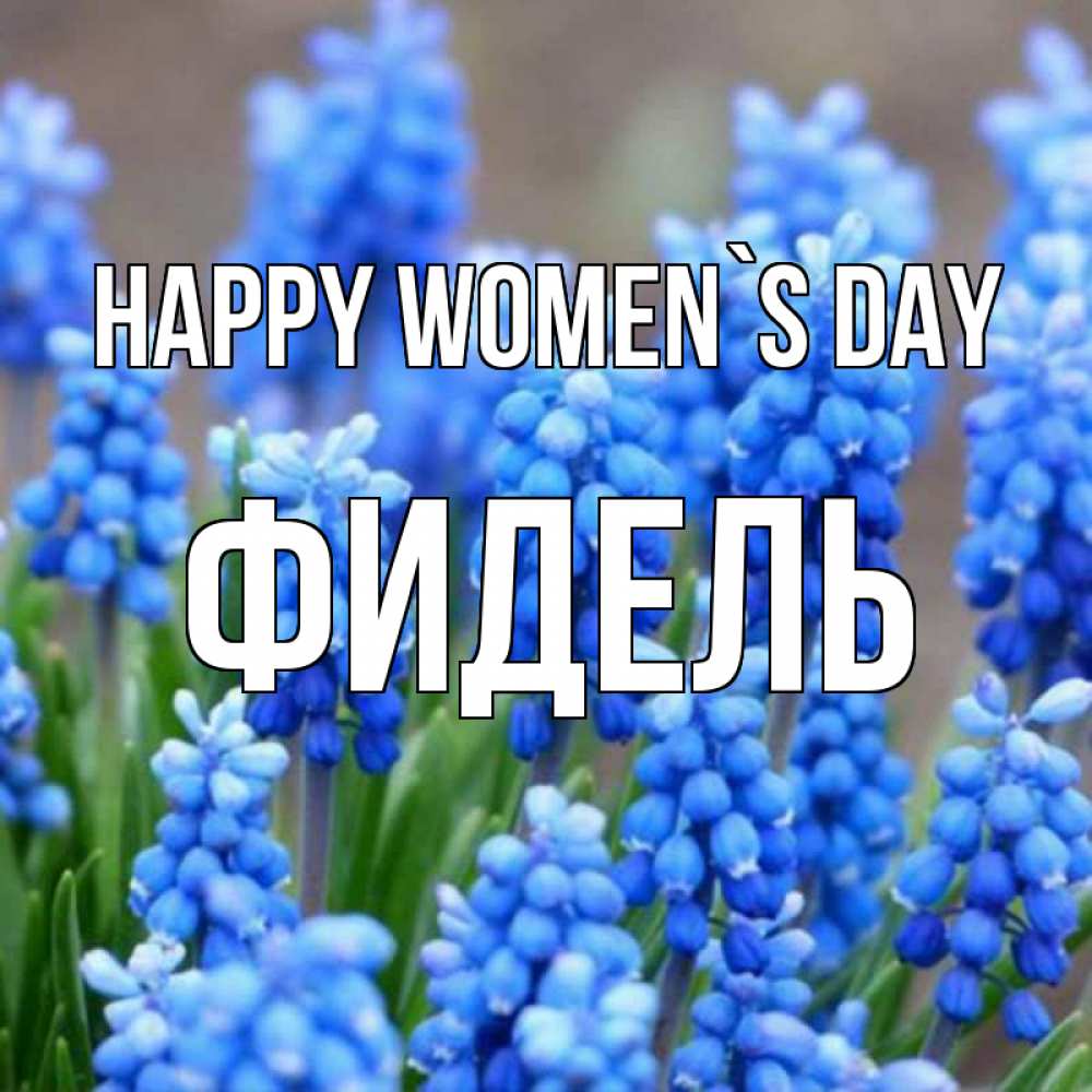 Greetings card с именем, Фидель happy women`s day Поздравительная открытка для женщин с цветами на праздничную дату Greetings with text for free download 